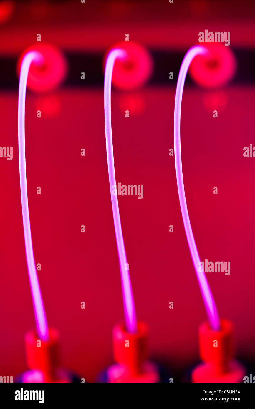 Genom-Sequenzierung-Maschine Stockfoto