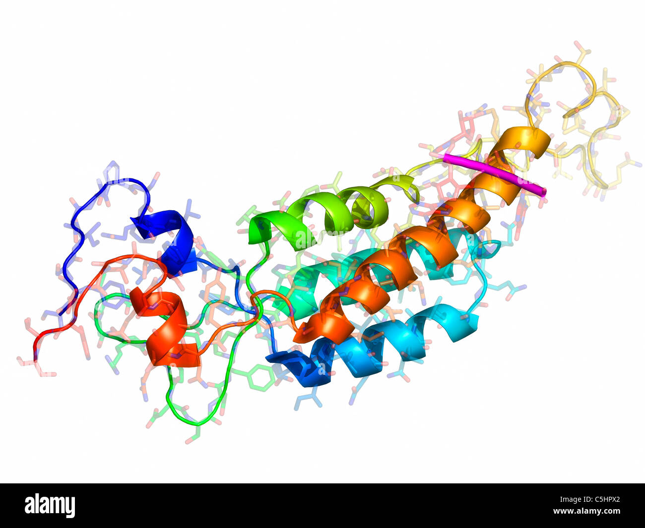 Tabak-Mosaik-Virus-Kapsid-Proteine Stockfoto