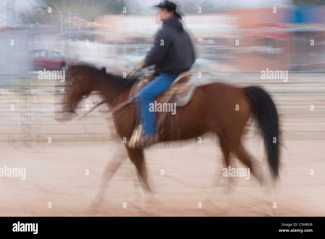 Rodeo-Pferde Aufwärmen in der Vorbereitung für Tucson Rodeo in Tucson, Arizona Stockfoto