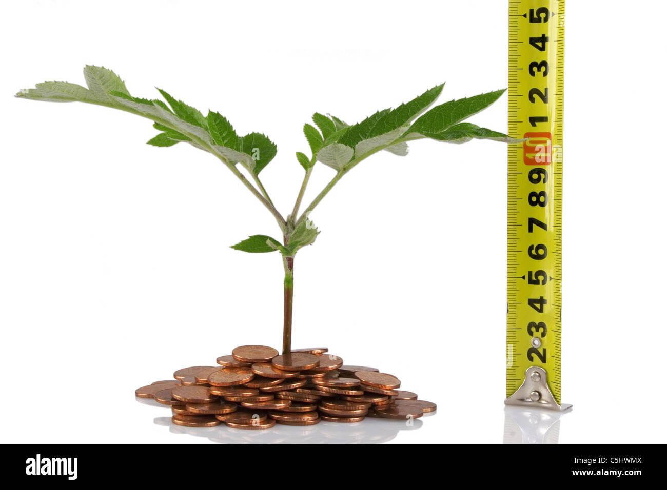 Maßband Vermessung Pflanze, Konzept für Wachstum und Effizienz der Unternehmen Stockfoto