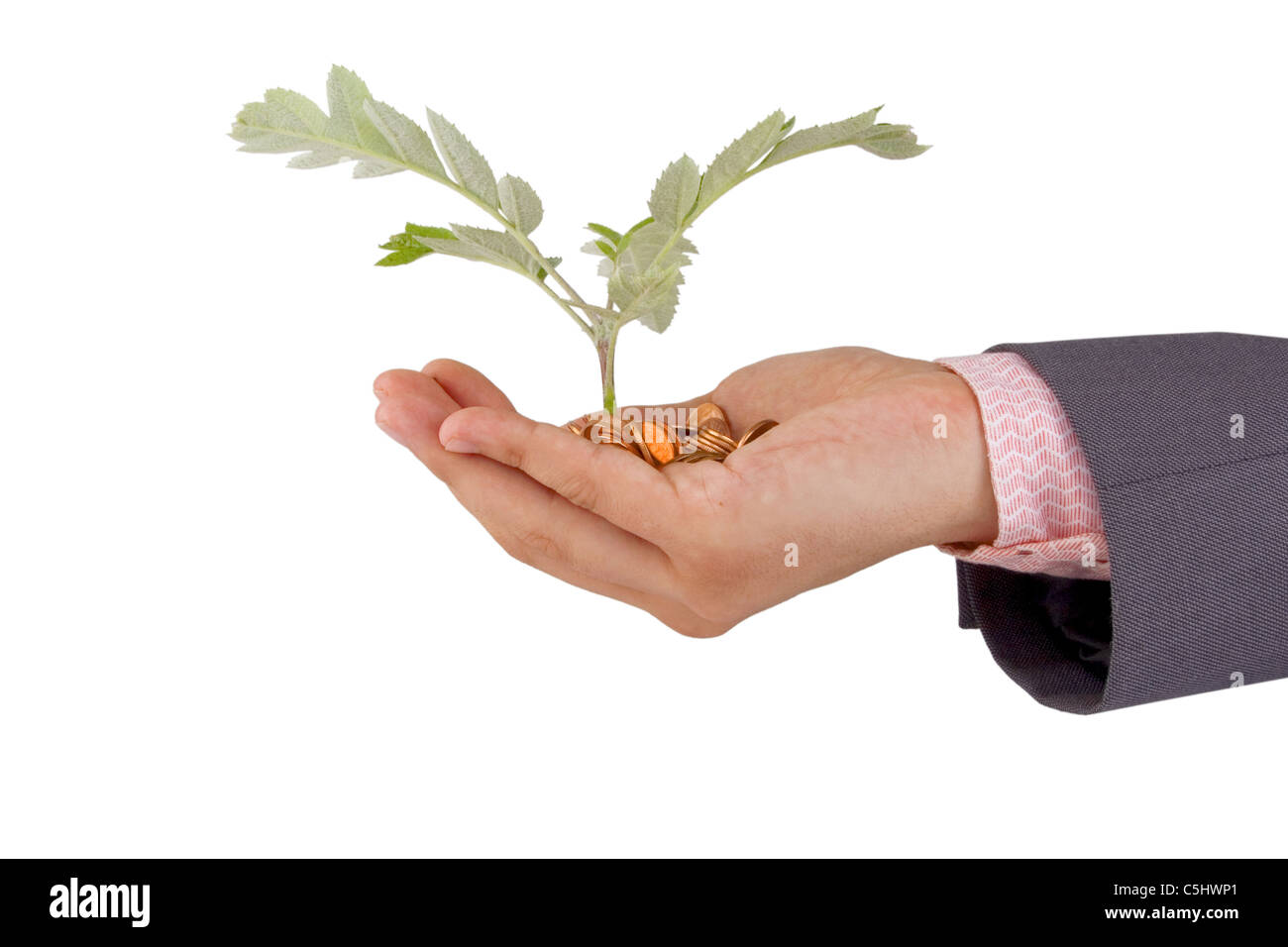 Geschäftsmann und wachsende Pflanze in der Mitte des Spar-Konzept Stockfoto