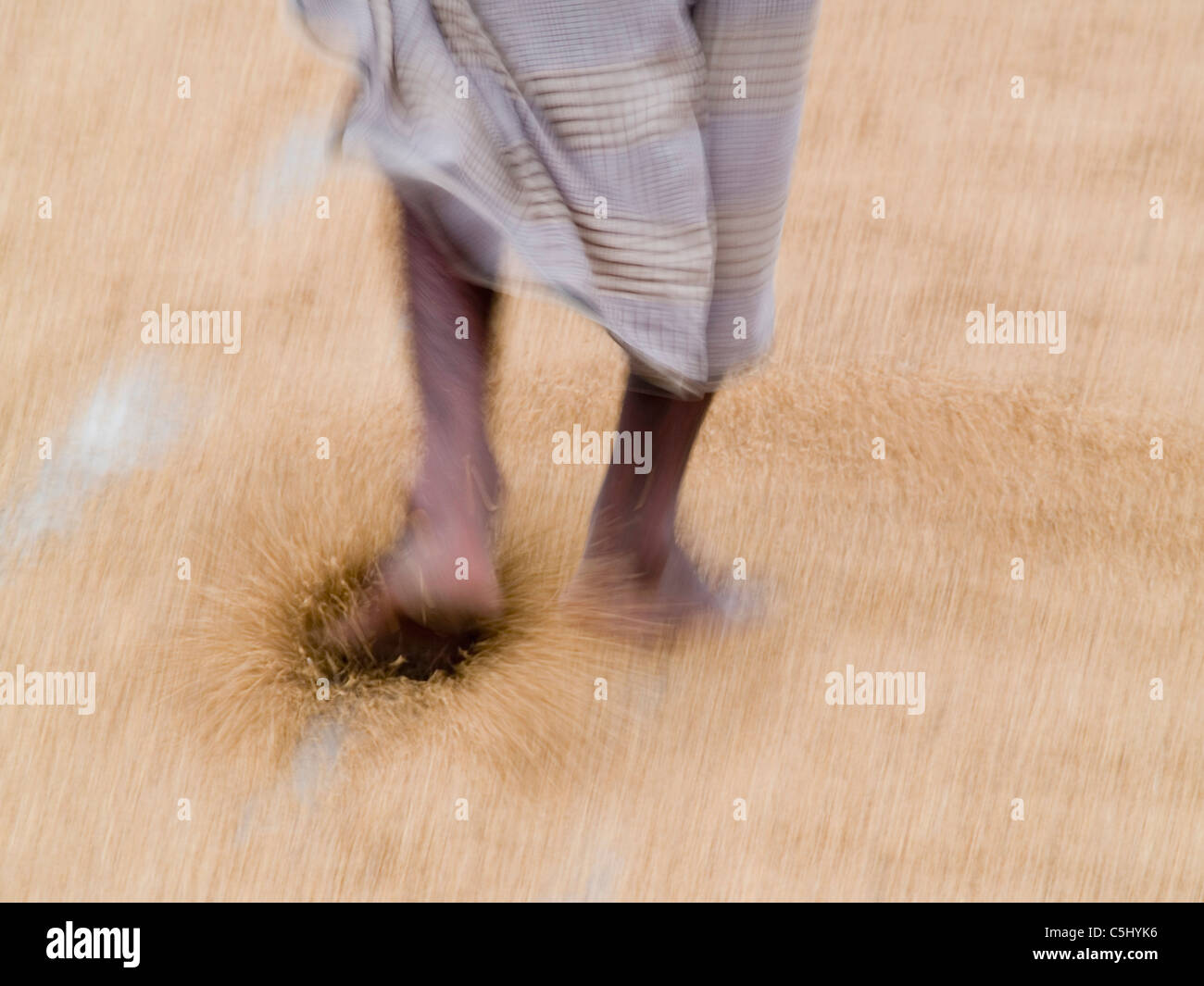 Arbeiter Trocknen Reis auf einer Farm in Panishwar, Bangladesch. Stockfoto