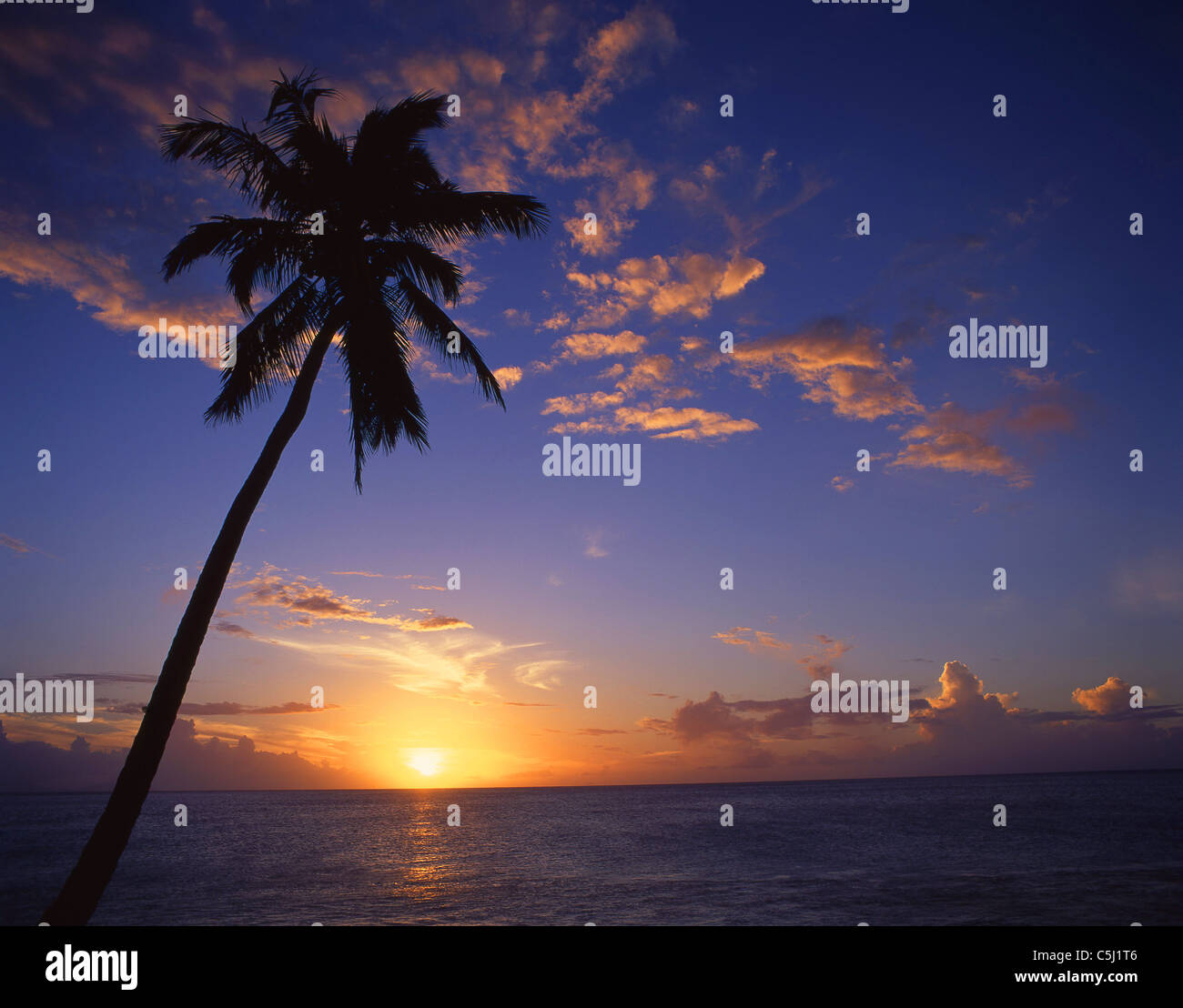 Darkwood Strand bei Sonnenuntergang, Antigua, Antigua und Barbuda, Caribbean Stockfoto