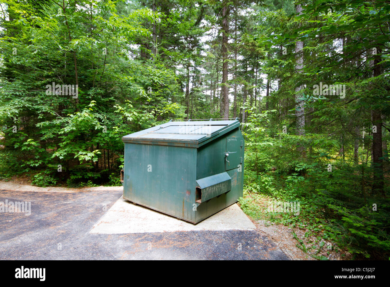 Tier, Bär Beweis Müllcontainer Stockfoto