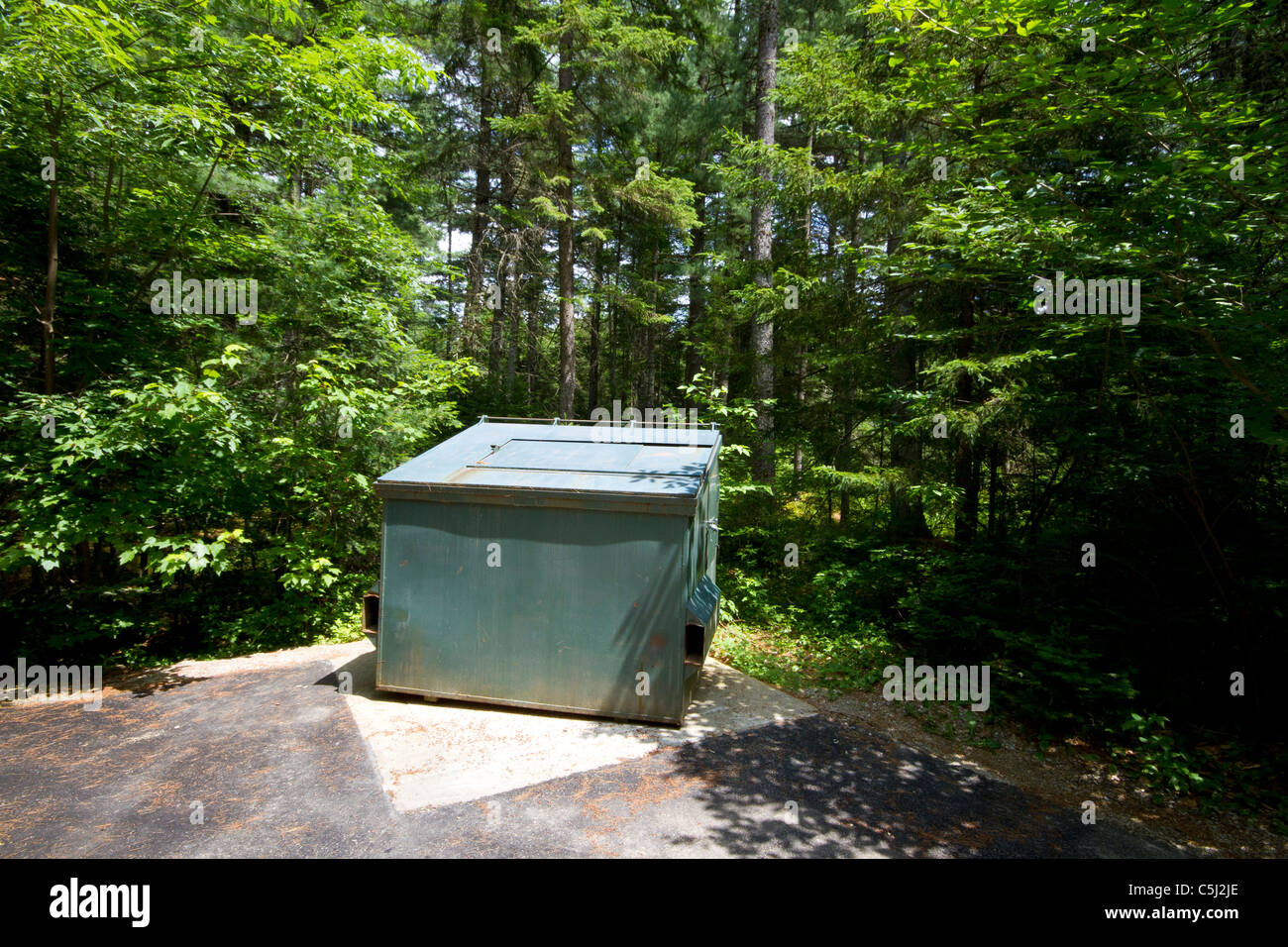 Tier, Bär Beweis Müllcontainer Stockfoto