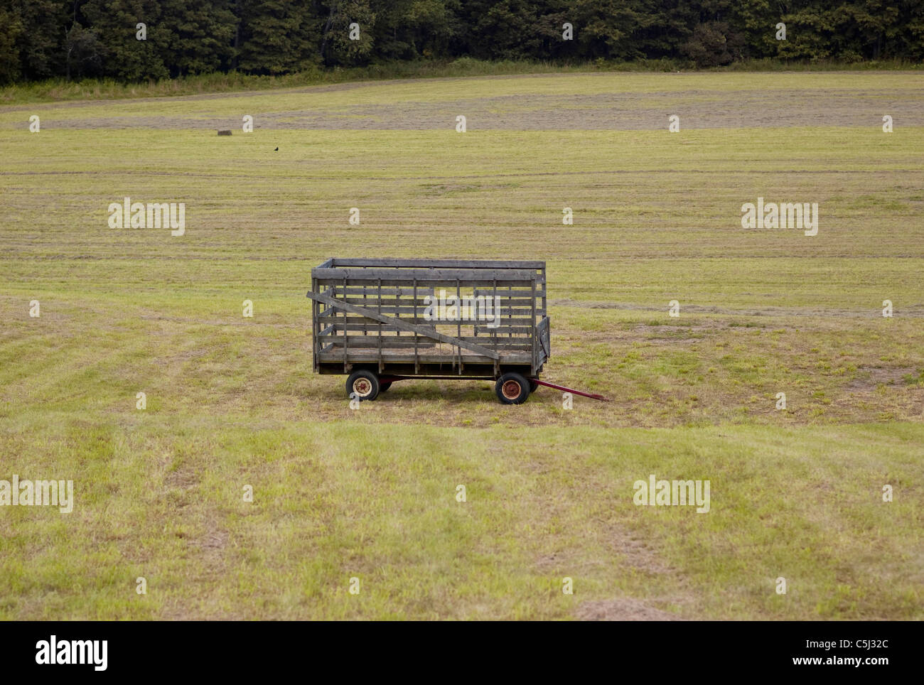 Heuwagen auf vor kurzem gemähten Feld, George Woodard Farm, Waterbury Center, Vermont Stockfoto