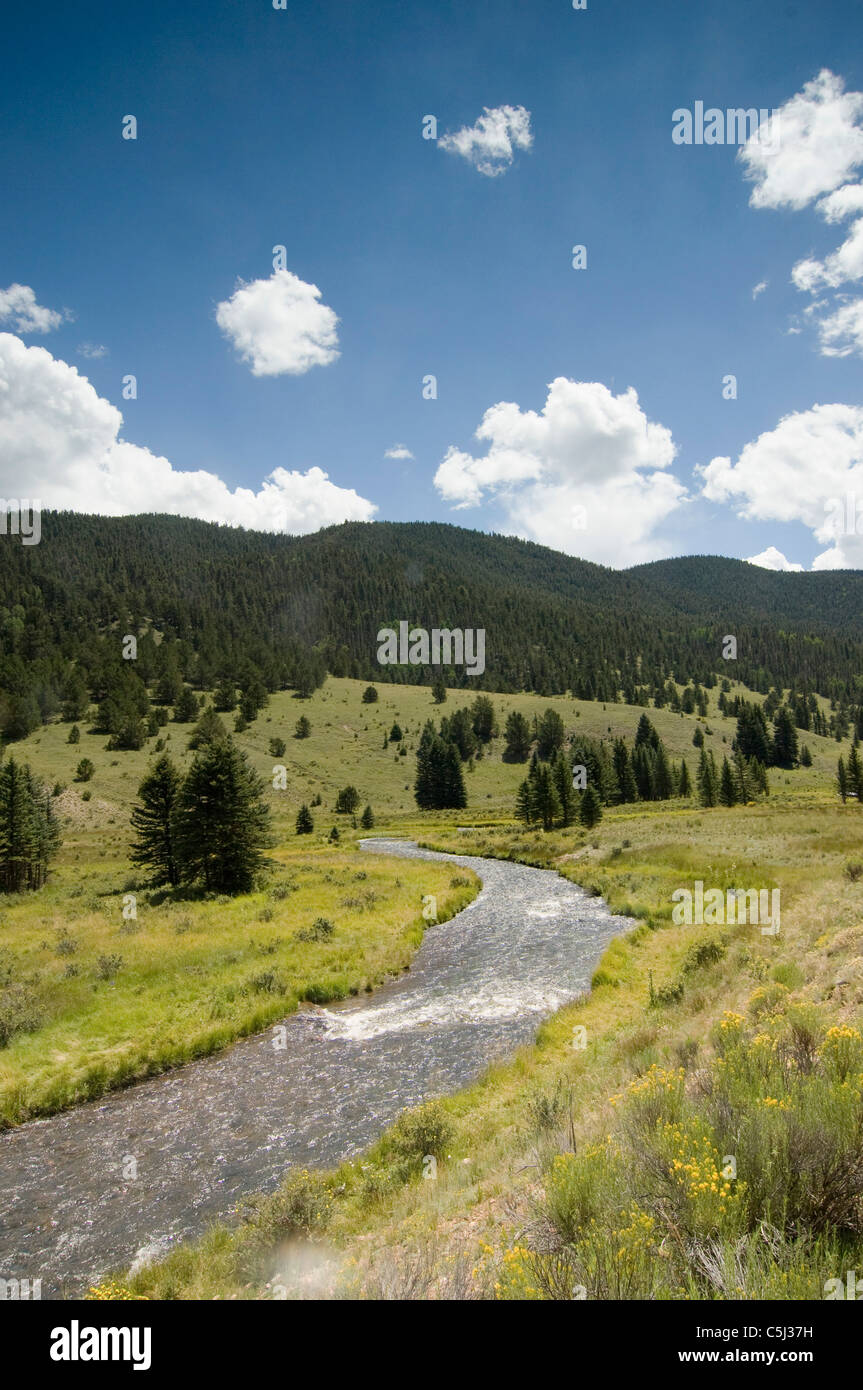 verläuft der Fluss warf, Weiden und Wäldern von New Mexico Stockfoto