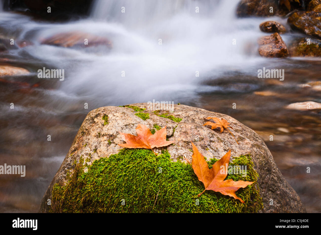 Fallen Sie am Fluss Nacimiento, Los Padres National Forest, Kalifornien Stockfoto