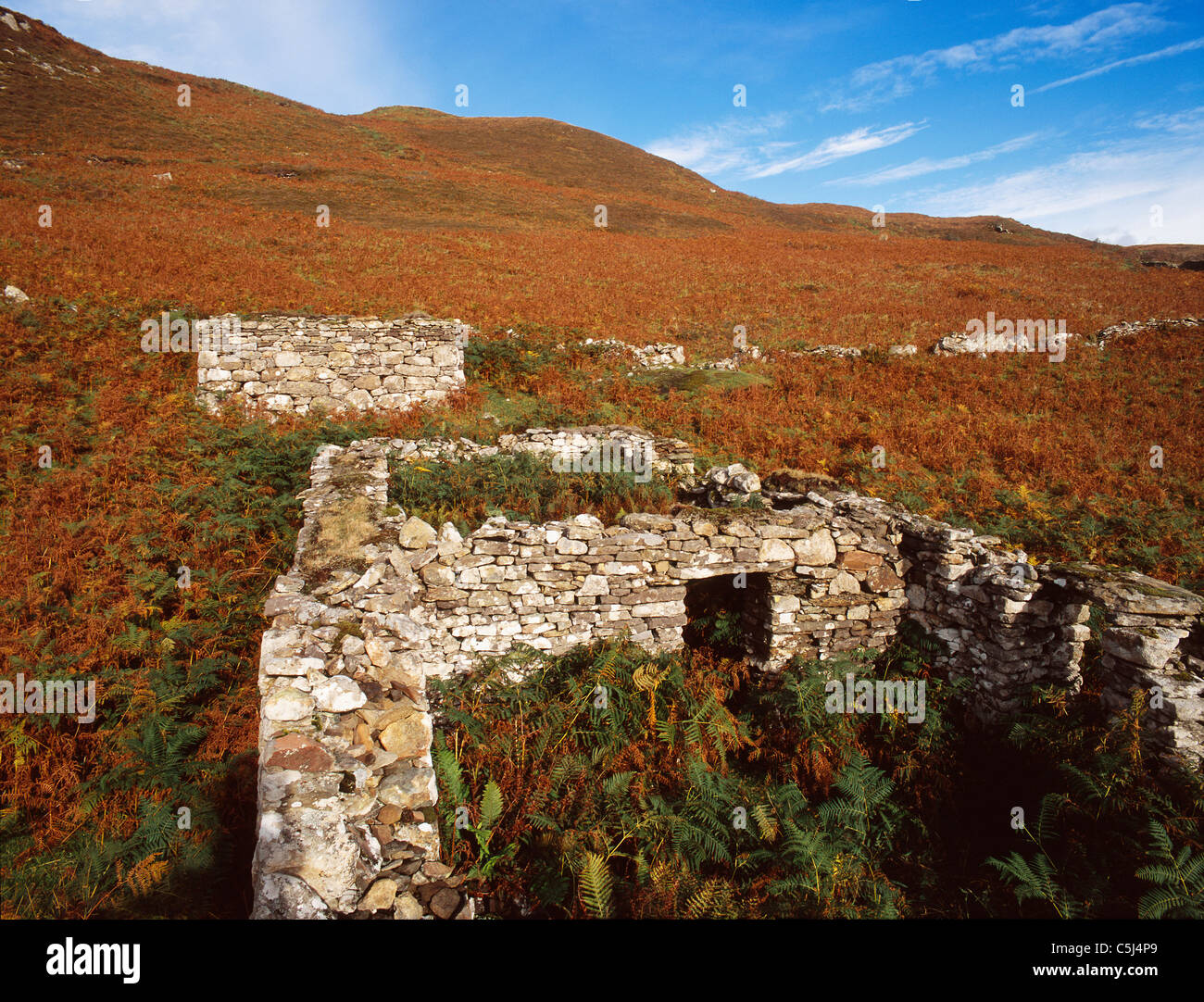 Zerstörte Häuser und Feld-Wand an der Clearance Dorf Boreraig im südlichen Skye, westlichen schottischen Highlands und Inseln Stockfoto