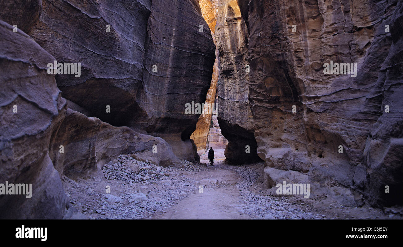 Einsamer Reiter auf dem Weg durch die enge Schlucht Siq, gegenüber der sagenumwobenen Stadt von Petra, Jordanien Stockfoto