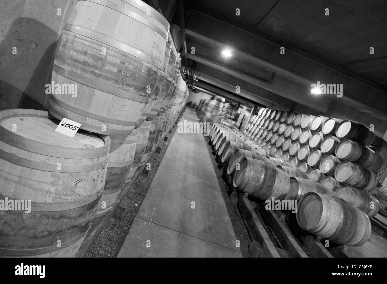 Der Keller mit Eiche Barrells der gärenden Wein. Domaine Louis Jadot. Beaune. Frankreich. Stockfoto