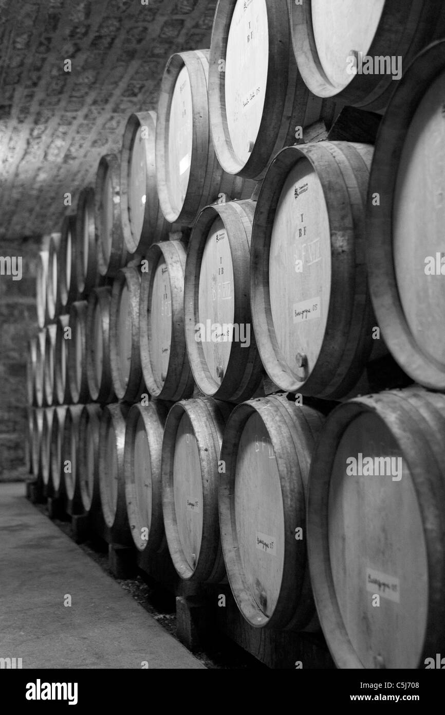 Die Keller und Fässer Wein am Domaine Michel Gros. Vosne-Romanée, Beaune, Frankreich. Stockfoto