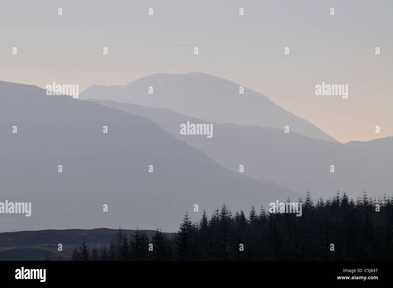 Grate der Berge und Silhouette Nadelwaldflächen im letzten Licht blau, nach Sonnenuntergang, Glen Lochay, Perthshire, Schottland, Großbritannien. Stockfoto