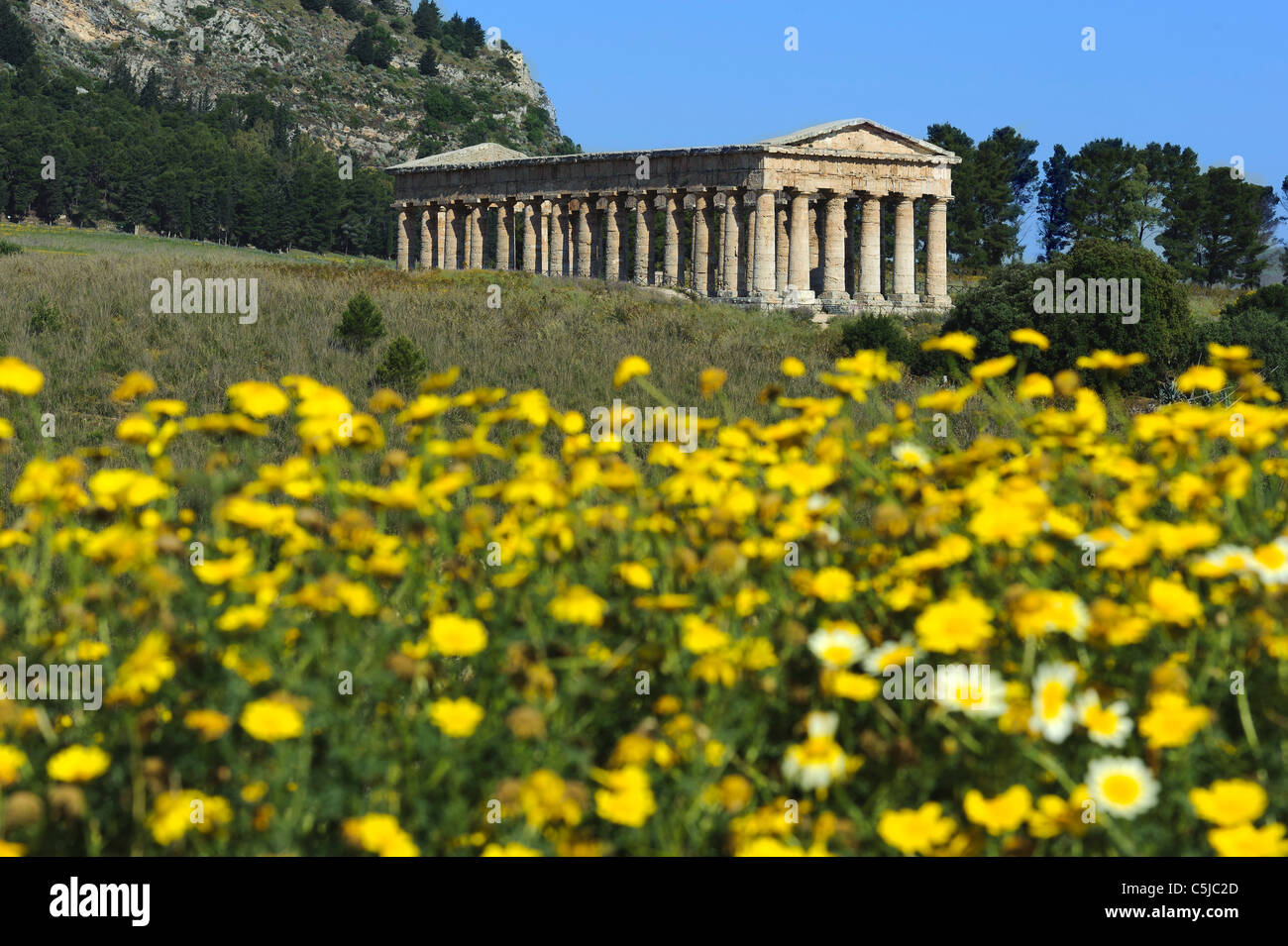 Elymer-Tempel in Segesta, Sizilien, Italien Stockfoto