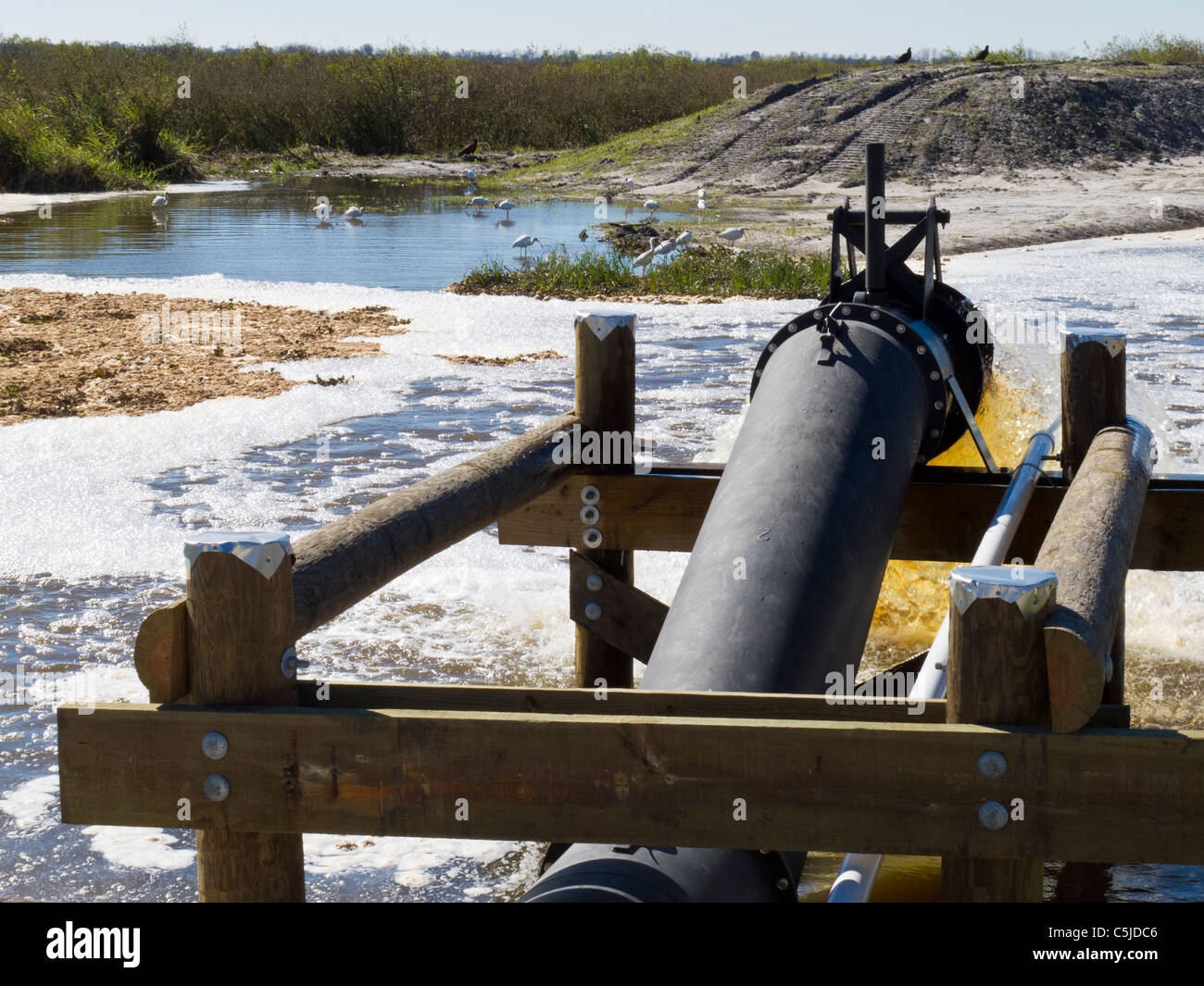 Wasser in ein Emeralda Marsh Feuchtgebiet Wassermanagement-Projekt in Zentral-Florida, USA gepumpt Stockfoto