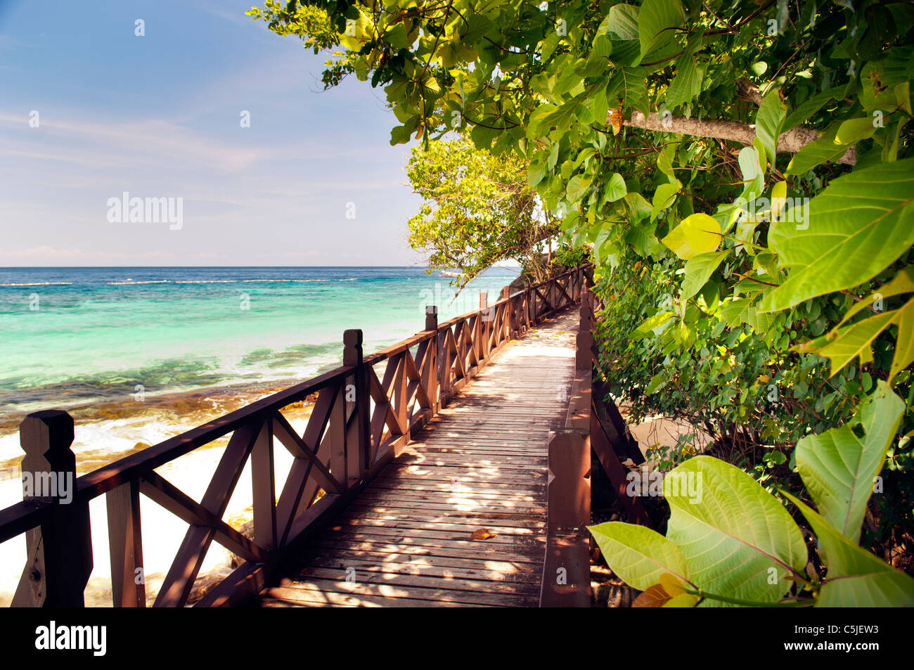 Gehweg durch schöne Bäume auf einer tropischen Insel Stockfoto