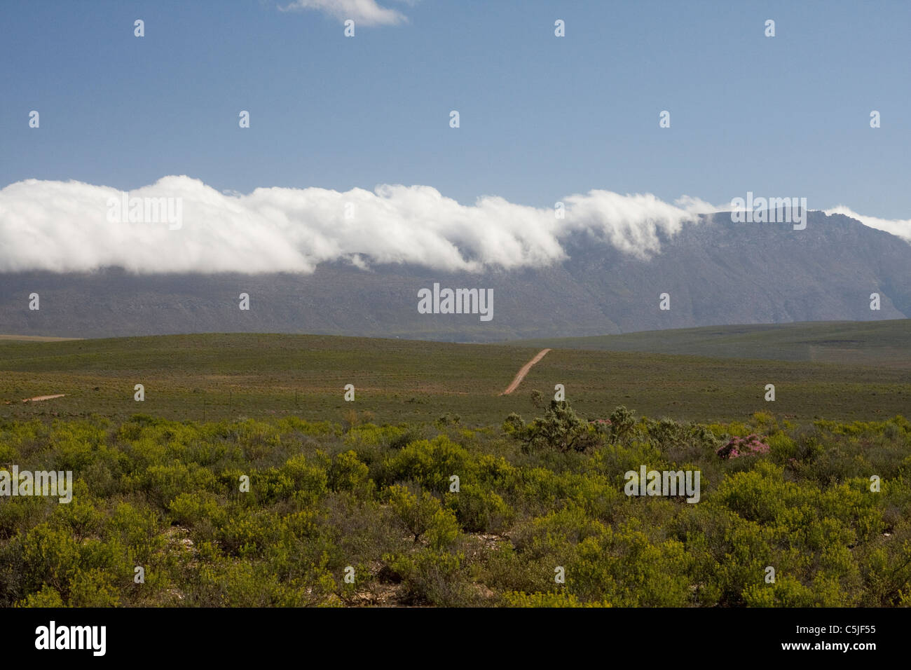 Landschaft in Sambona Wildreservat, Südafrika Stockfoto