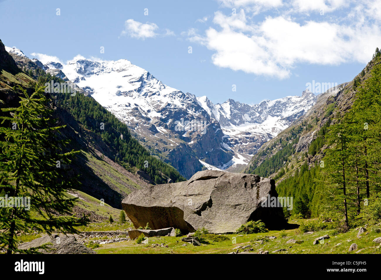 Ein großer Findling teilweise behindern die Valnontey Tal (Italien). Jumbo Bloc Findling Obstruant En Partie la Vallée alpine Stockfoto