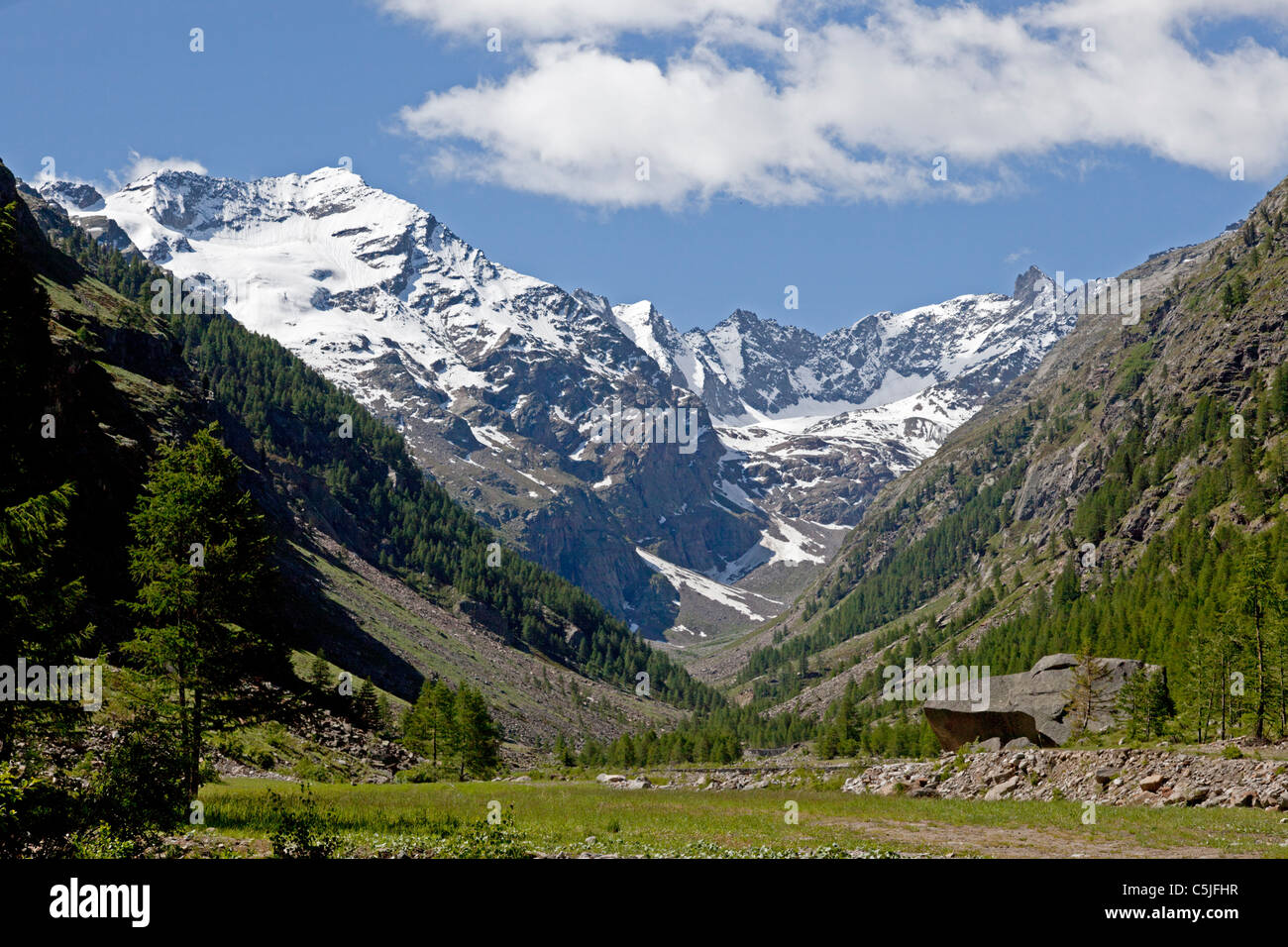 Ein großer Findling teilweise behindern die Valnontey Tal (Italien). Jumbo Bloc Findling Obstruant En Partie la Vallée alpine Stockfoto