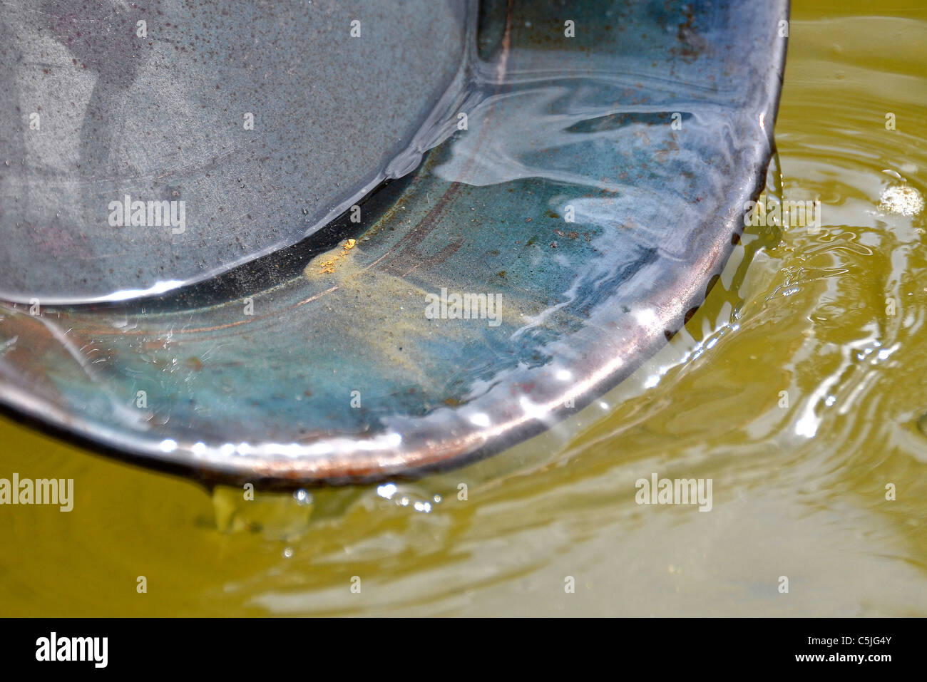 Goldwaschen: gold waschen Pfanne mit Flocken und Staub von Gold mit  Flusswasser gewaschen Stockfotografie - Alamy