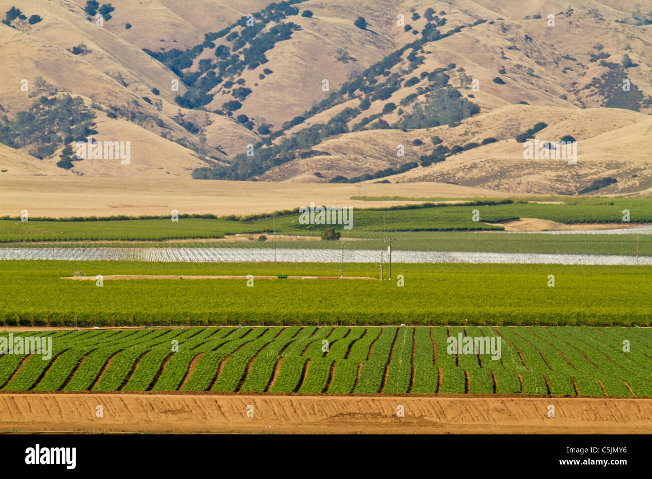 Landwirtschaft In Der Salinas Valley Kalifornien Usa Stockfotografie Alamy