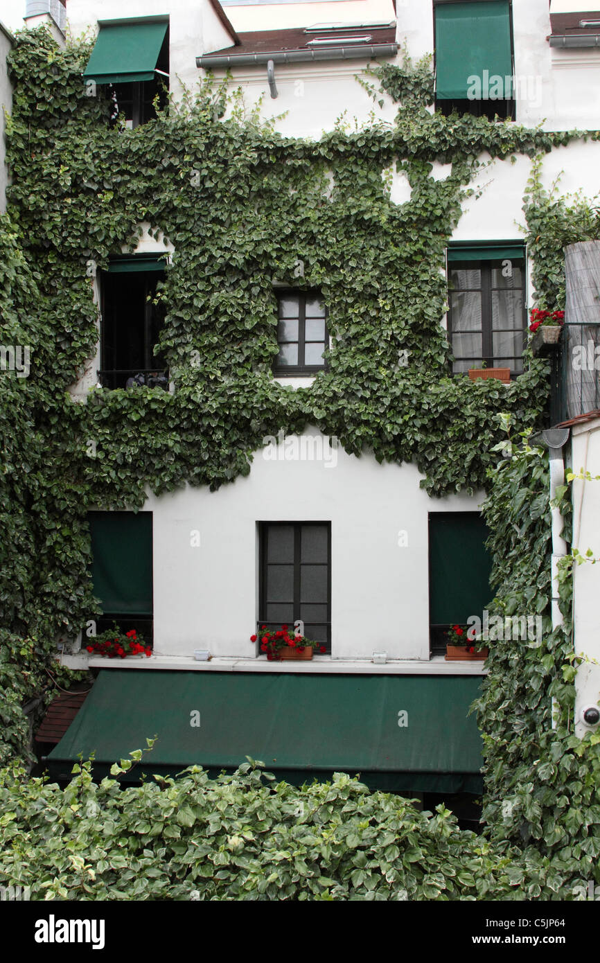 Efeu bedeckt die Rückseite des Restaurant Paris Stockfoto