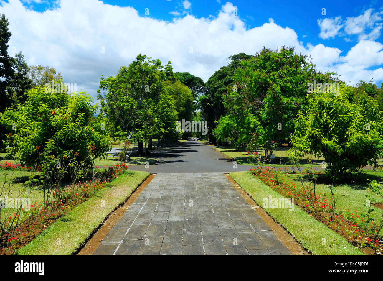 Gasse im Vorfeld Chateau de Mon Plaisir in Sir Seewoosagur Ramgoolam Botanic Garden Pamplemousses, Mauritius. Stockfoto