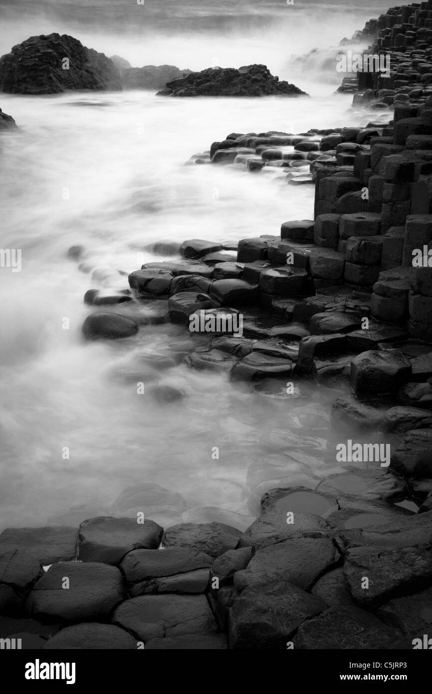 Der Giant's Causeway auf der nordöstlichen Küste von Nordirland Stockfoto