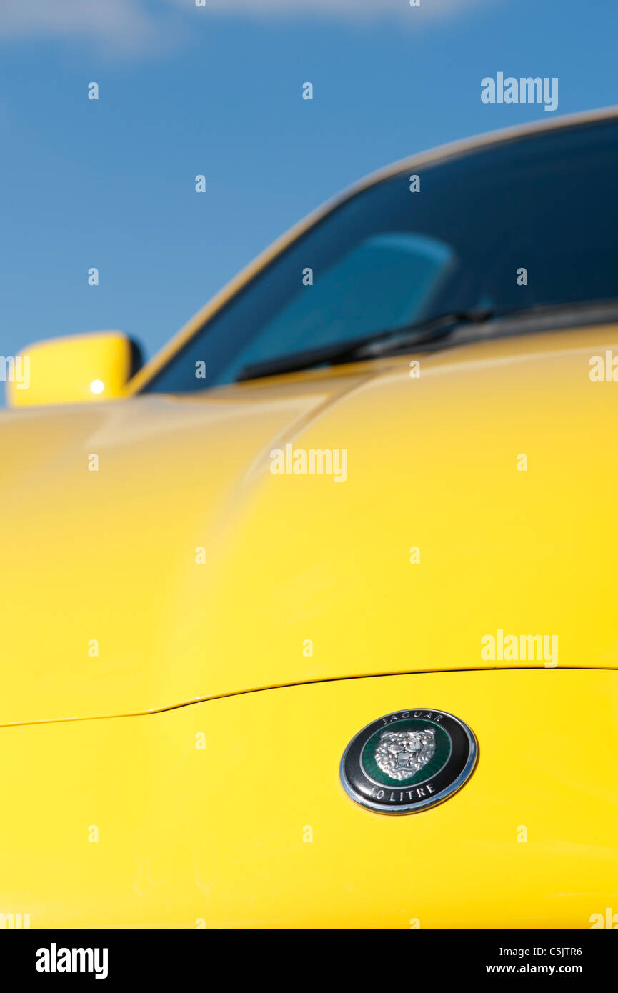 Jaguar XK8 Auto. Abzeichen und front-End-abstrakt Stockfoto