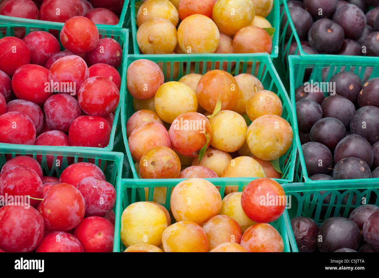 Rot, gelb und lila Bio Pflaumen im grünen Kunststoff-Körben am Bauernmarkt in Sebastopol, Sonoma County, Kalifornien, USA Stockfoto