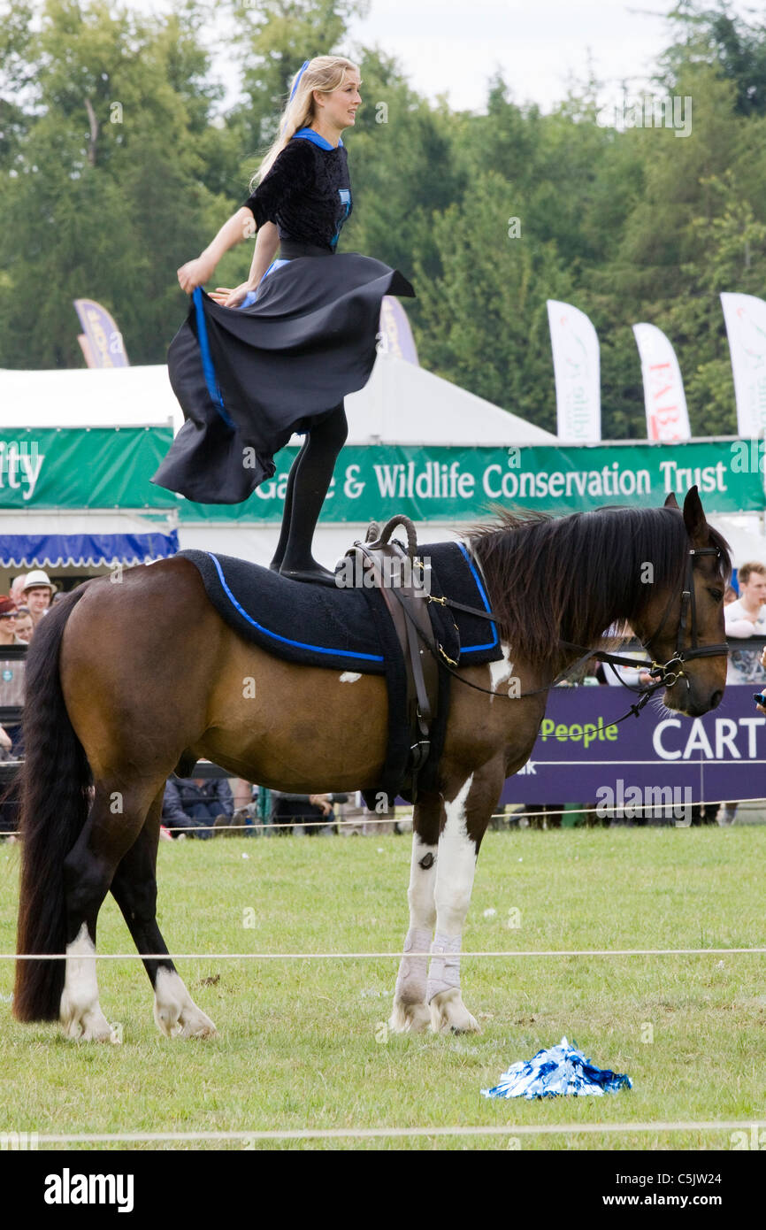 Jive Pony eine gut ausgebildete freie Arbeitspferd und Reiter Stockfoto Jive Pony eine gut ausgebildete freie Arbeitspferd und Reiter Stockfoto