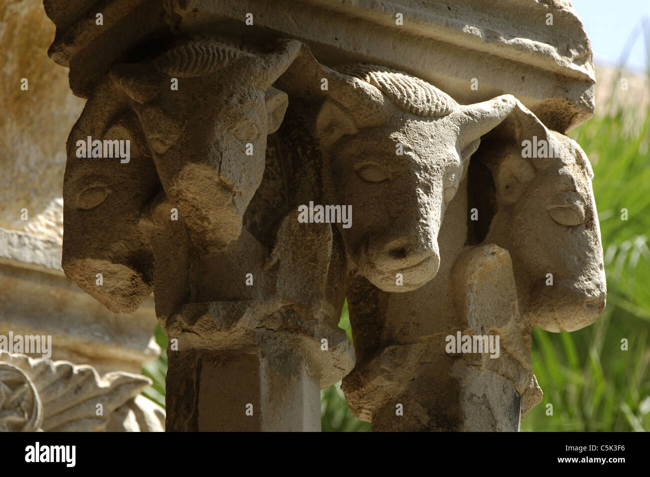 Kroatien. Dubrovnik. Franziskaner Kloster. 14. Jahrhundert. Im 17. Jahrhundert umgebaut. Kreuzgang Klassifikationen. Stockfoto