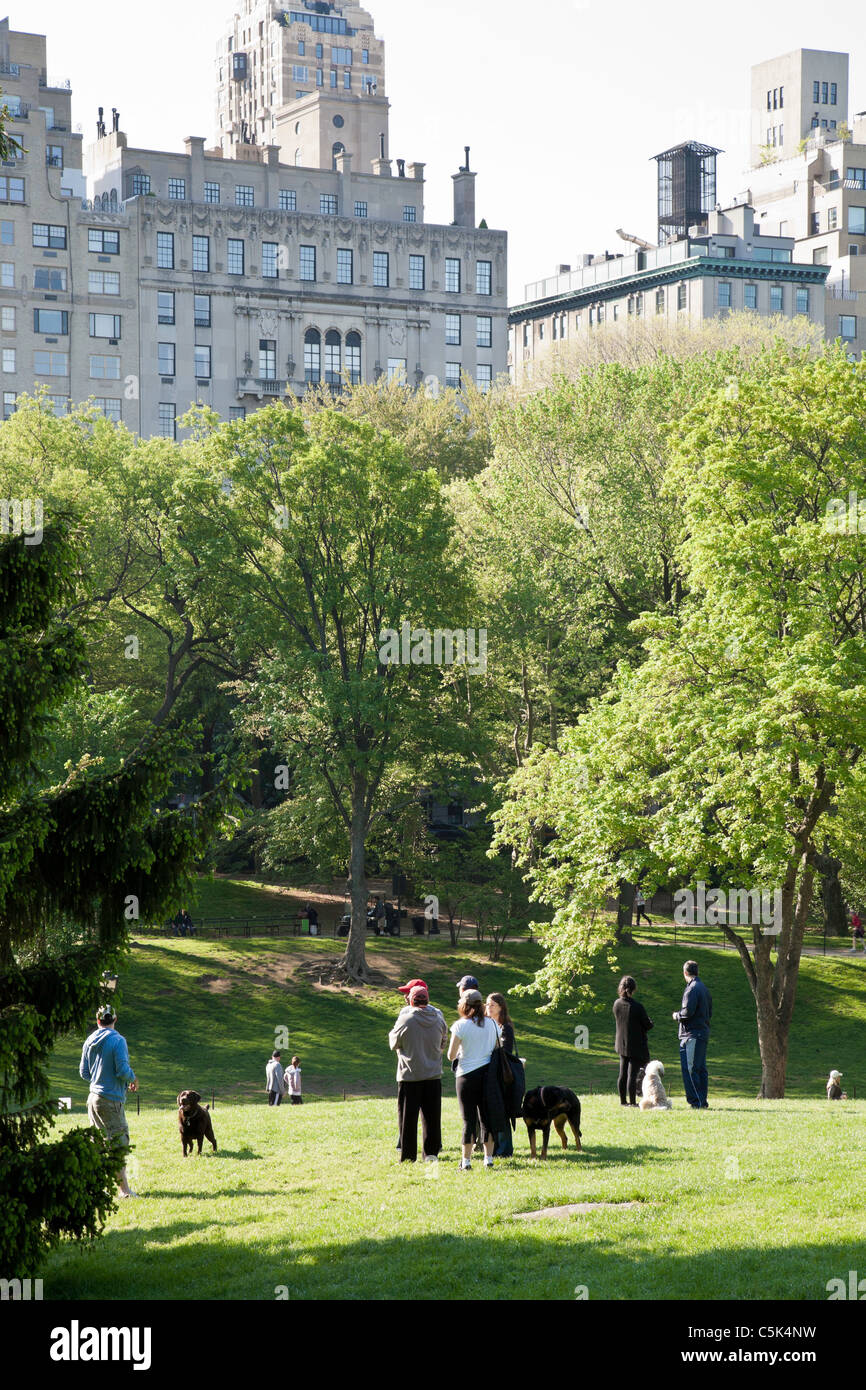 Hunde und Besitzer, Mehrfamilienhäuser Dog Hill und der Fifth Avenue, Central Park, New York Stockfoto