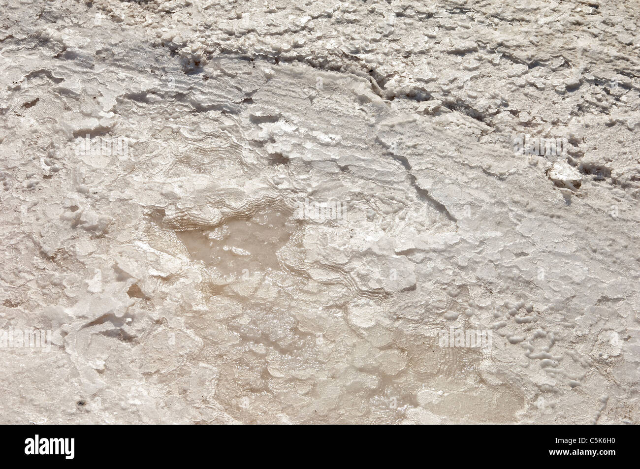 Kristallisiertes Salz in eine Verdampfung Teich, Algarve, Portugal Stockfoto