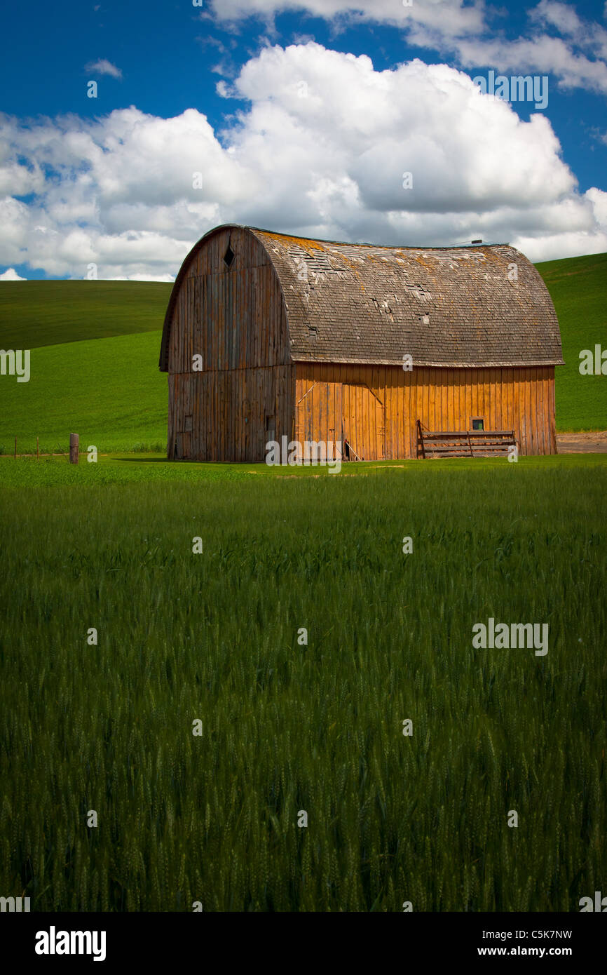 Scheune Gebäude im Bereich landwirtschaftliche Palouse des östlichen US-Bundesstaat Washington. Stockfoto