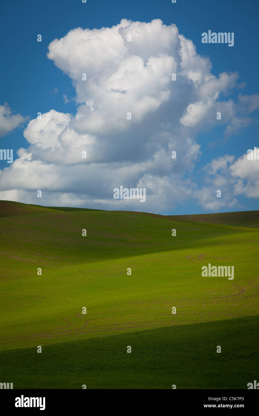 Landschaft in der Palouse landwirtschaftlichen Nutzfläche der östlichen Washington State, USA Stockfoto