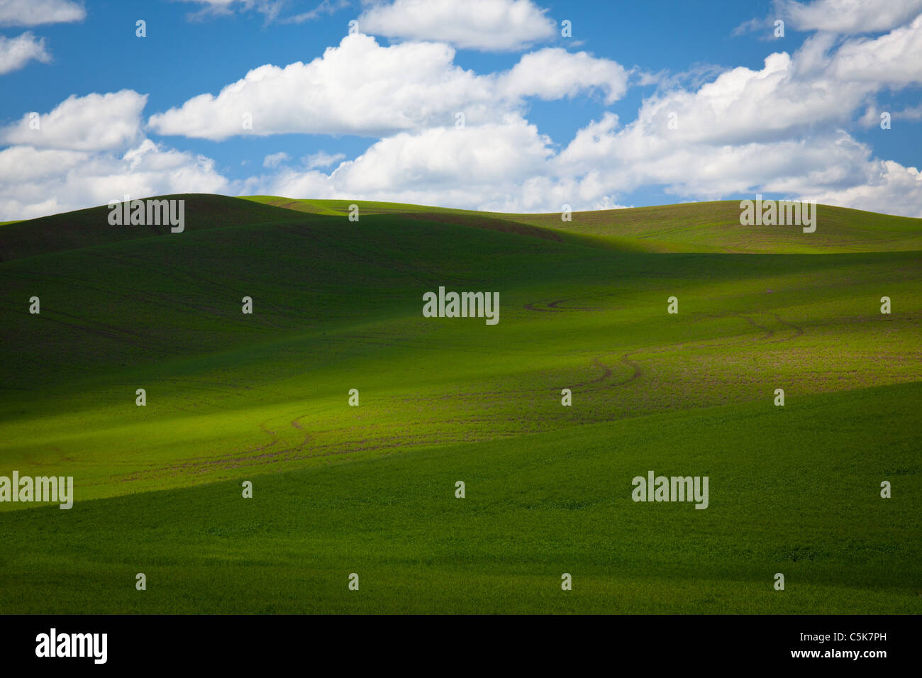 Landschaft in der Palouse landwirtschaftlichen Nutzfläche der östlichen Washington State, USA Stockfoto