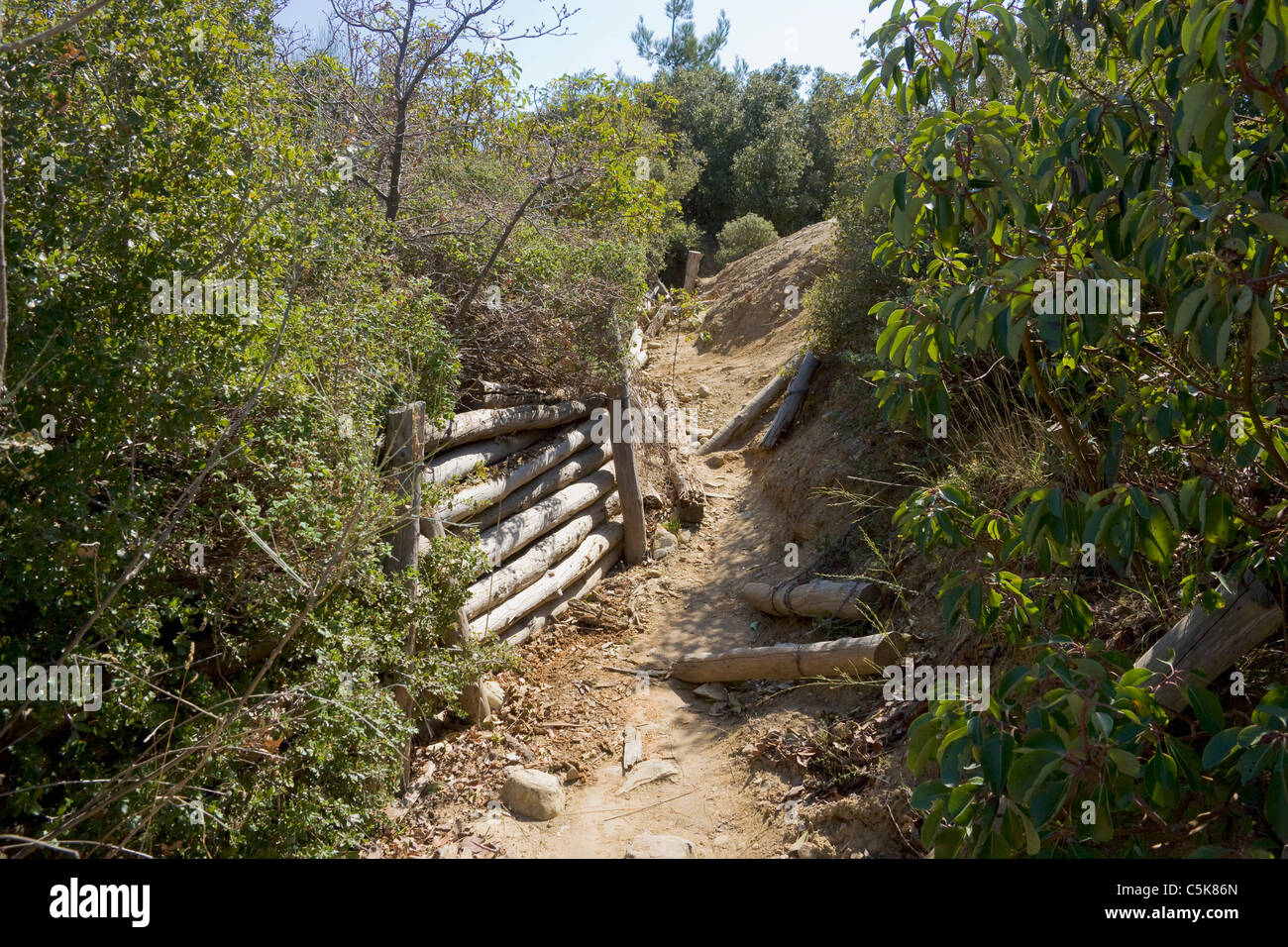 Gräben, Gallipoli, Canakkale, Türkei Stockfoto