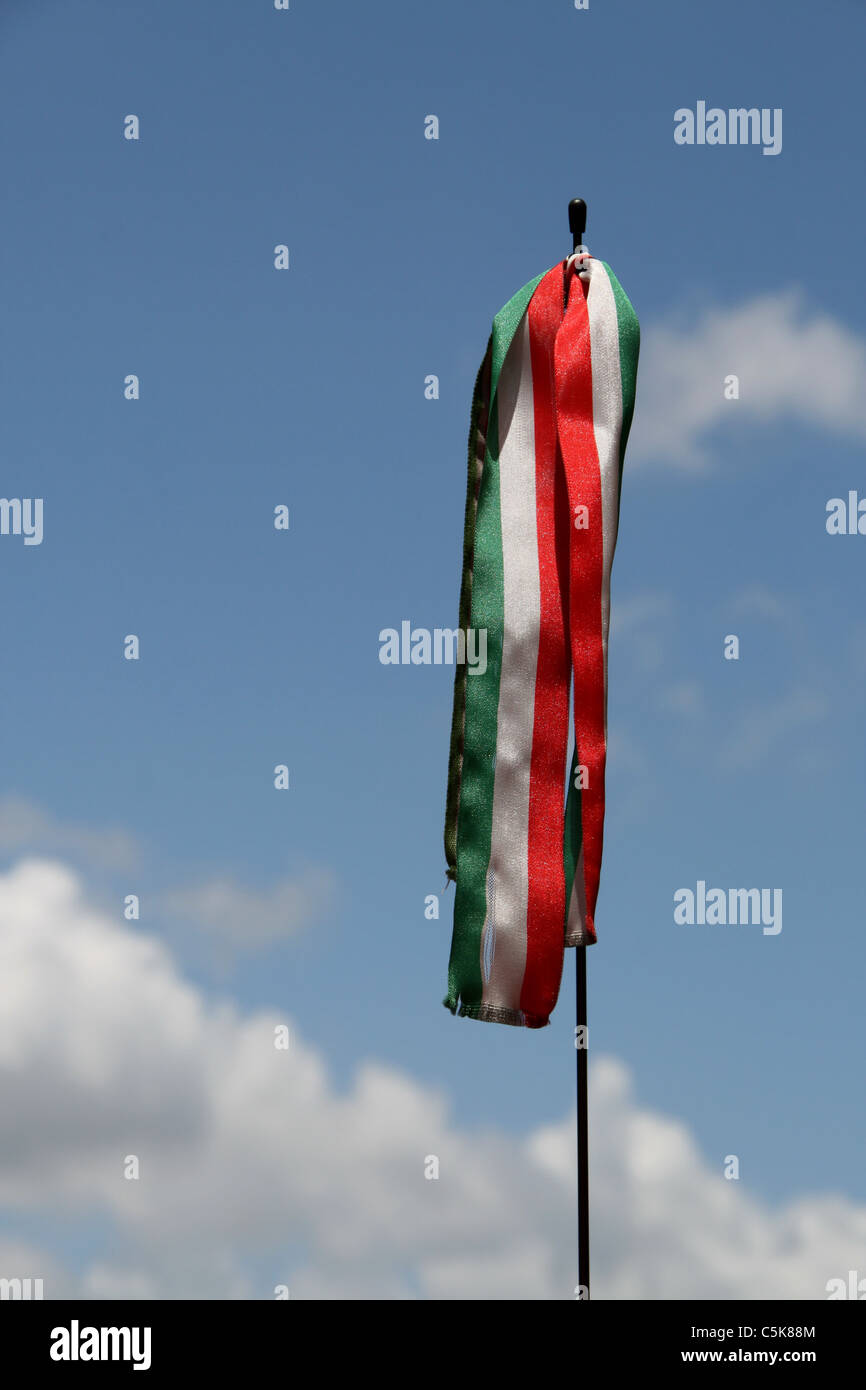 Reiseführer mit Stock in Rom Italien Stockfoto