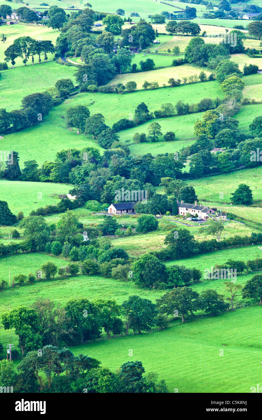 Landschaft von Cheshire im Sommer in der Dämmerung Stockfoto