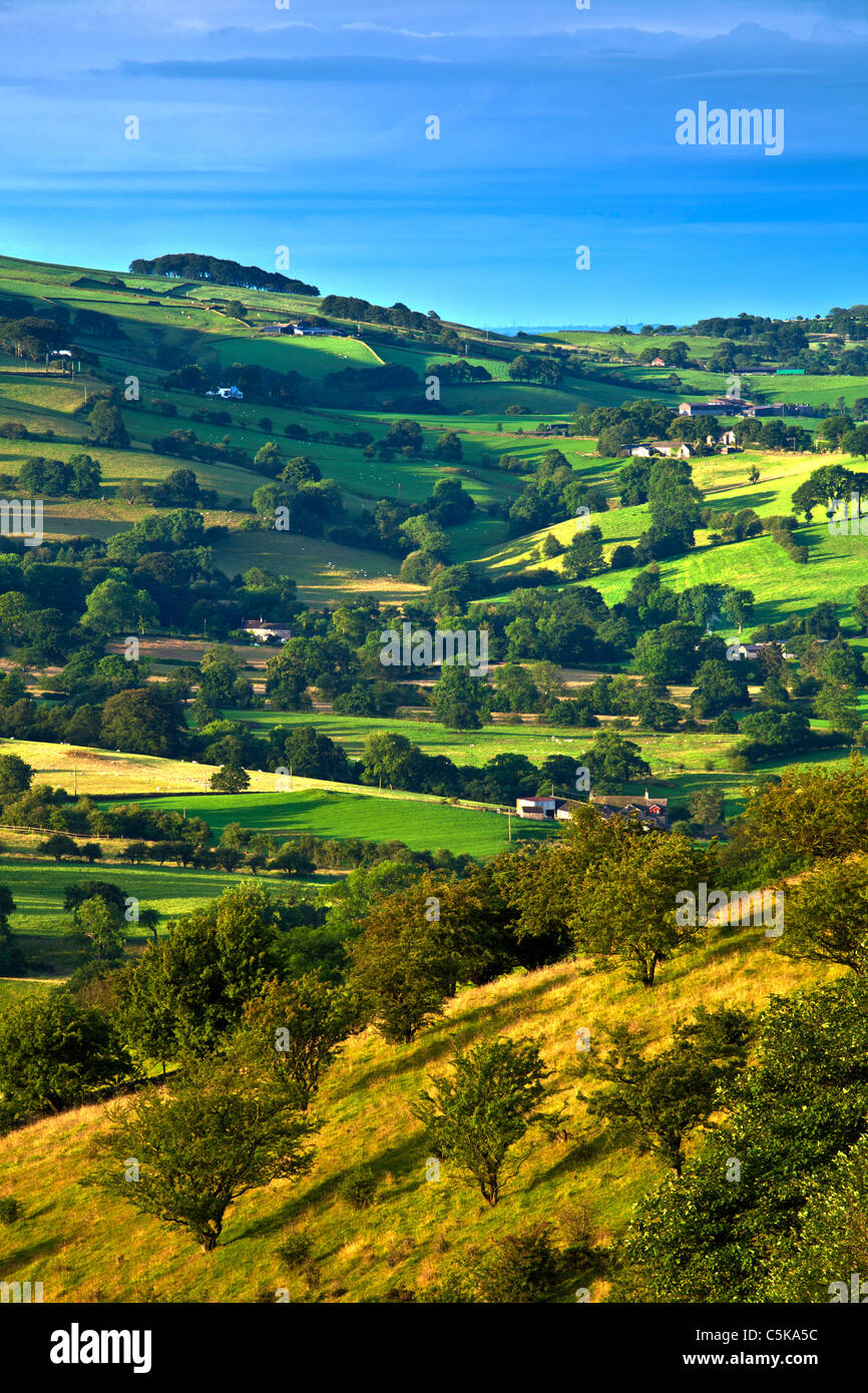 Landschaft von Cheshire im Sommer in der Dämmerung Stockfoto