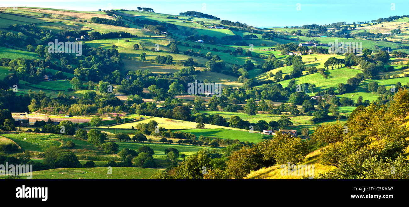 Landschaft von Cheshire im Sommer in der Dämmerung Stockfoto