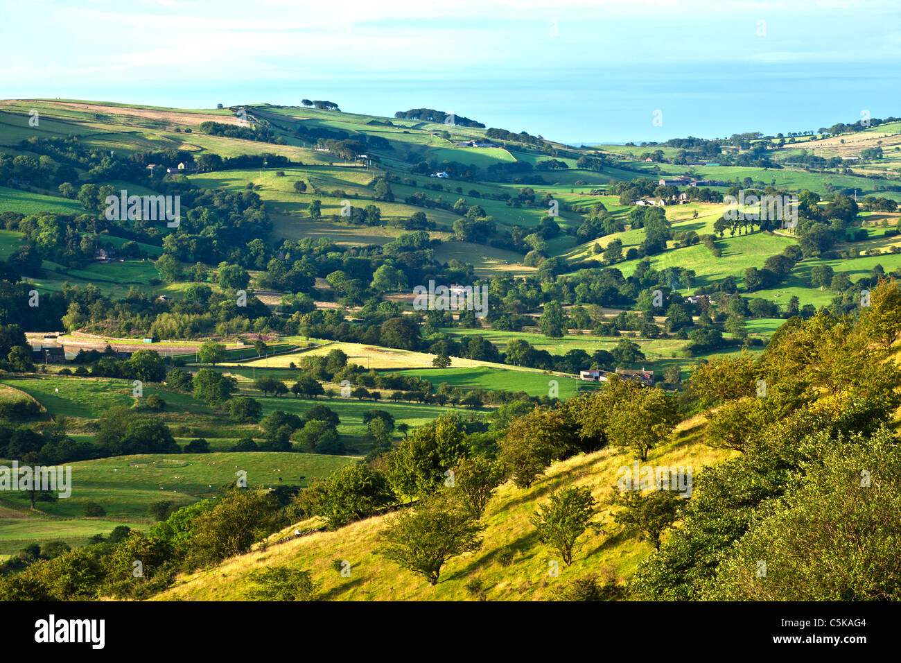 Landschaft von Cheshire im Sommer in der Dämmerung Stockfoto