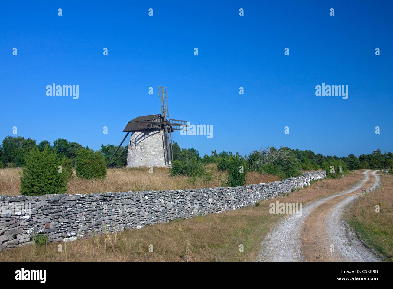 Windmühle in Dämba, Insel Gotland, Schweden Stockfoto
