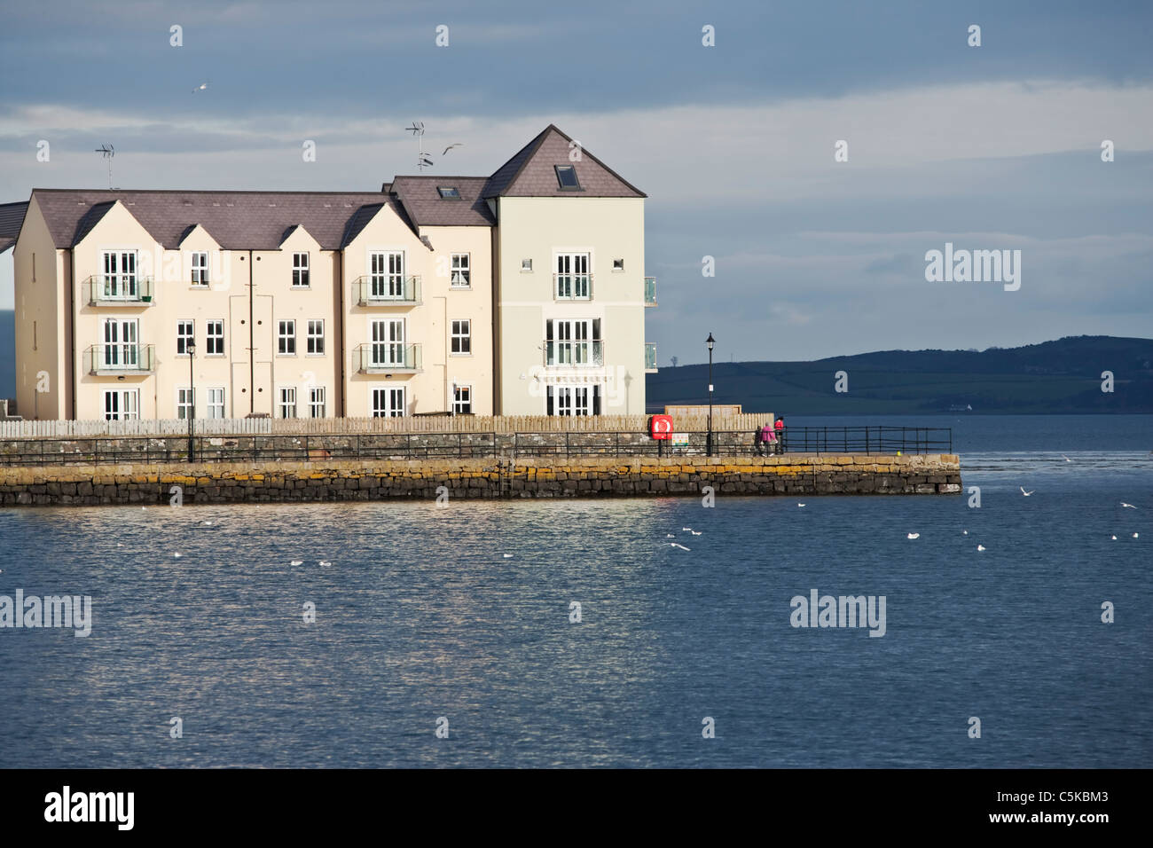 Moderne Waterfront Apartments am östlichen Ufer des Strangford Lough in Killyleagh, County Down, Nordirland Stockfoto