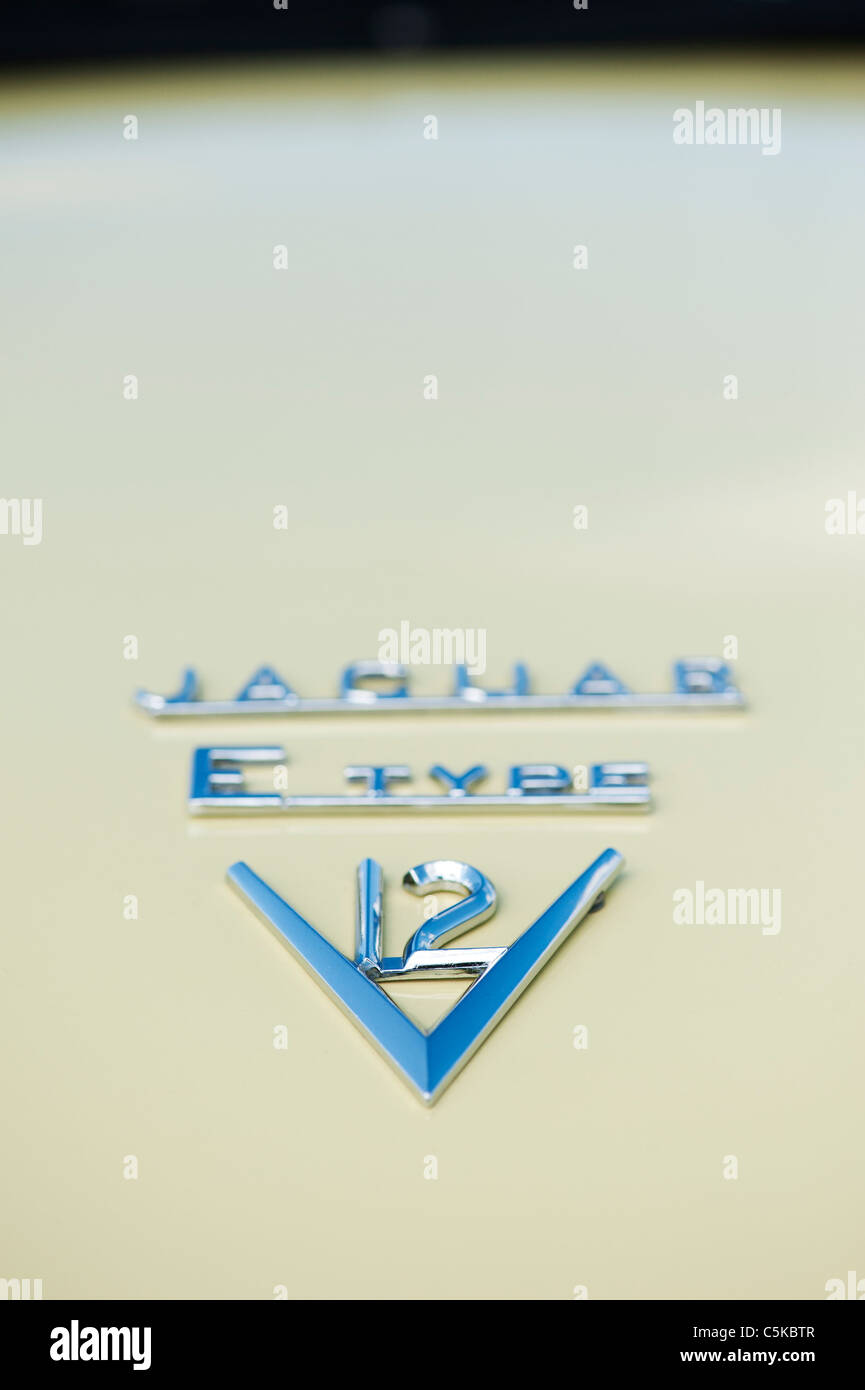 E Type V12 Jaguar, klassischen britischen Sportwagen Stockfoto