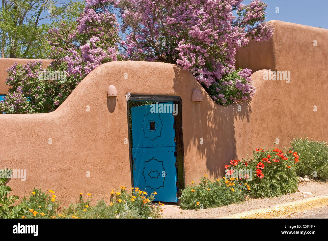 Adobe Wall und blaue Tür und Blumen in Taos, NM Stockfoto