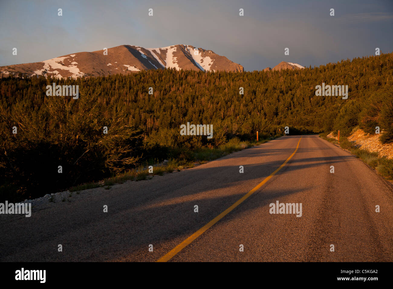 Baker, Nevada - Wheeler Peak Scenic Drive im Great Basin National Park bei Sonnenaufgang. Stockfoto