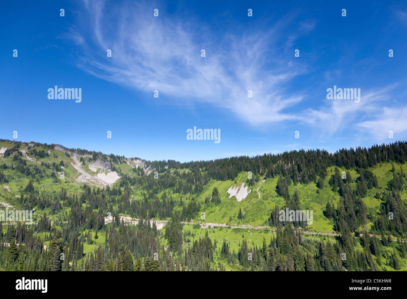 Paradise Valley Mount Rainier Nationalpark Washington USA Stockfoto