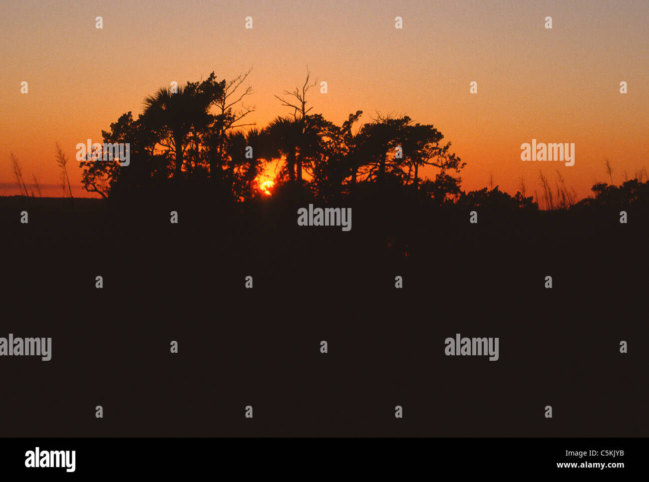 Sonnenuntergang über Gwinn Island, SC, USA Stockfoto
